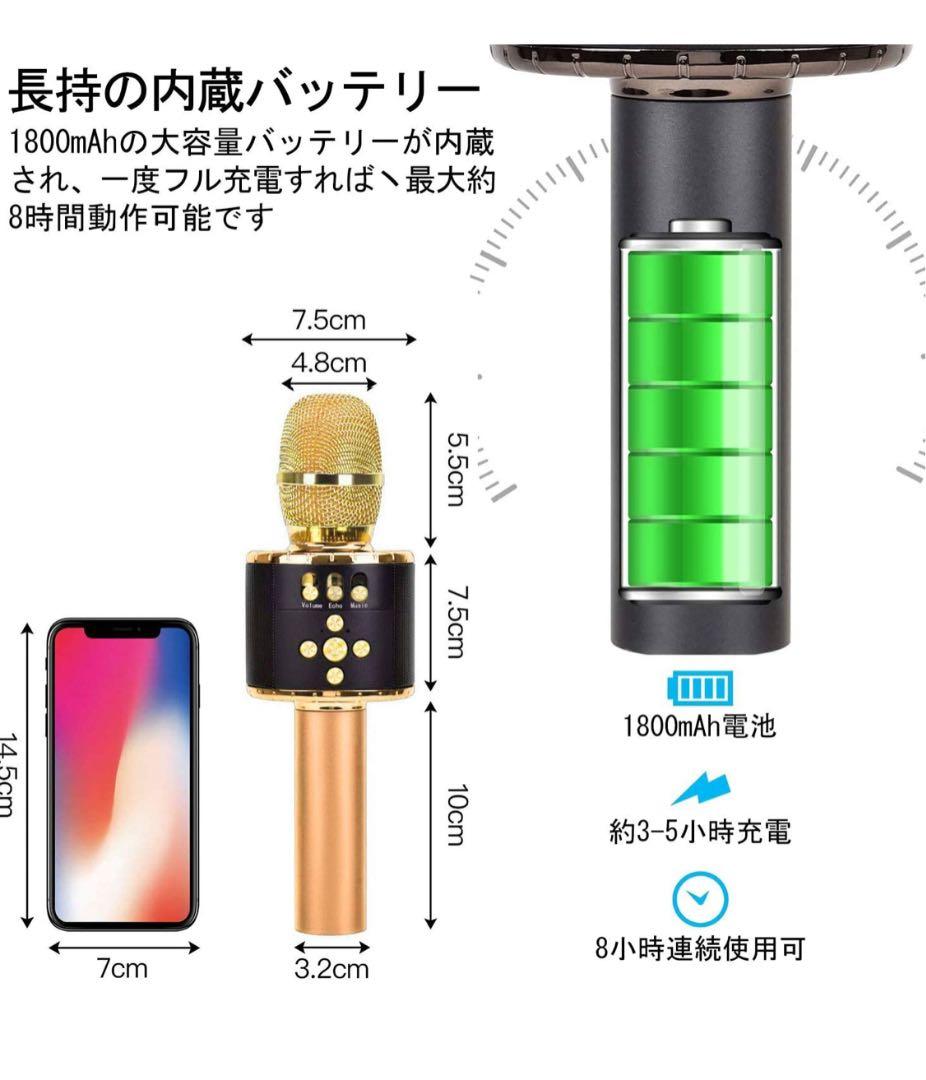 【未使用】マイク カラオケ 13900円相当 2本セット セット販売