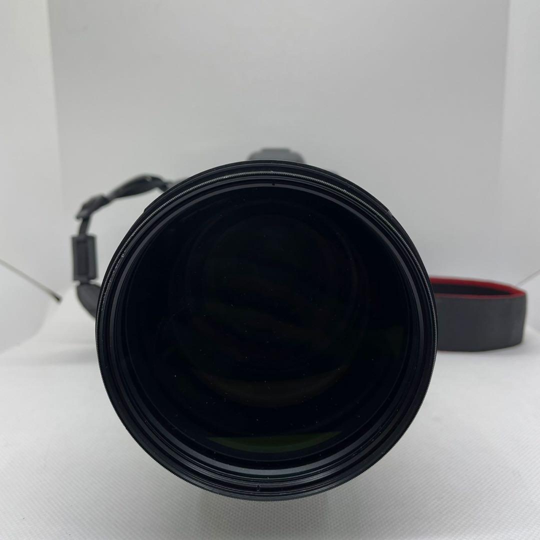 Canon EOS 7D Mark 2 望遠レンズ付き