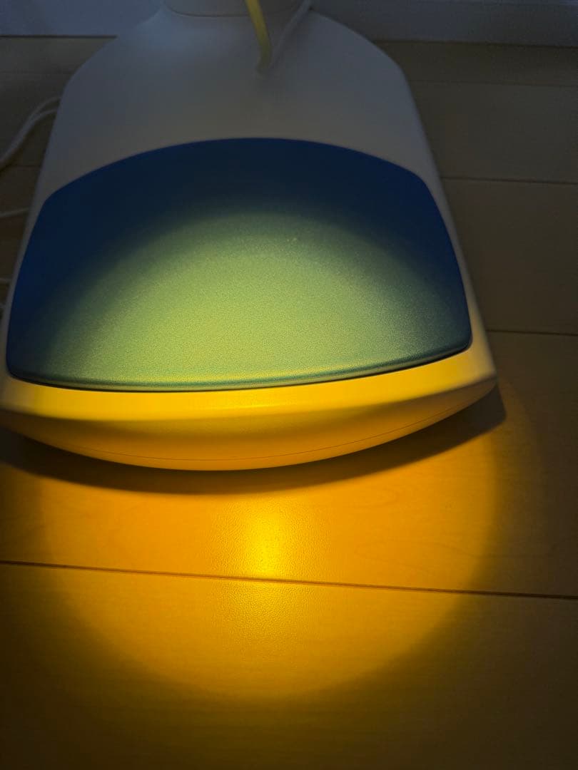 【美品】BIOPTRON Pro1 / バイオプトロン 美顔器 PSEマーク有