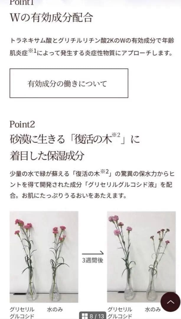 【未開封】BRIGHTAGE 定価¥14300 化粧水＋美容液2点セット