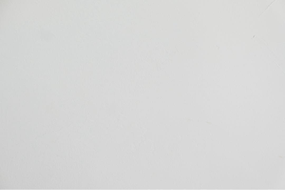 Leica D-LUX カメラType109 ライカ