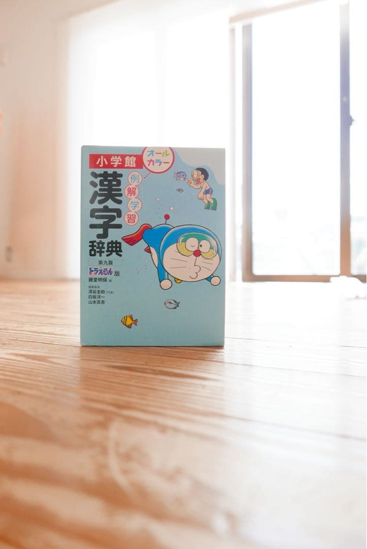 Leica D-LUX カメラType109 ライカ