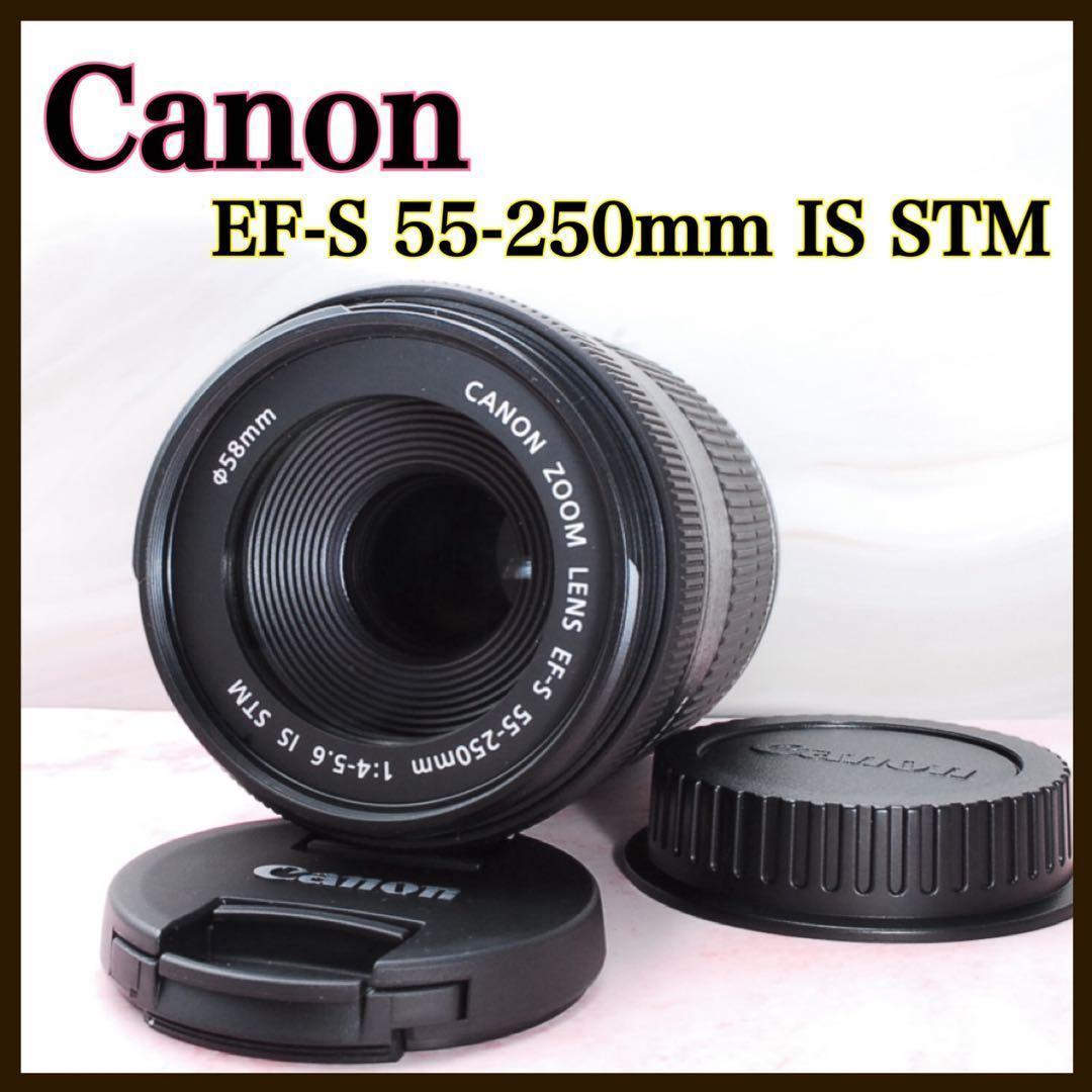 美品❤️Canon EF-S 55-250mm IS STM 高性能望遠レンズ