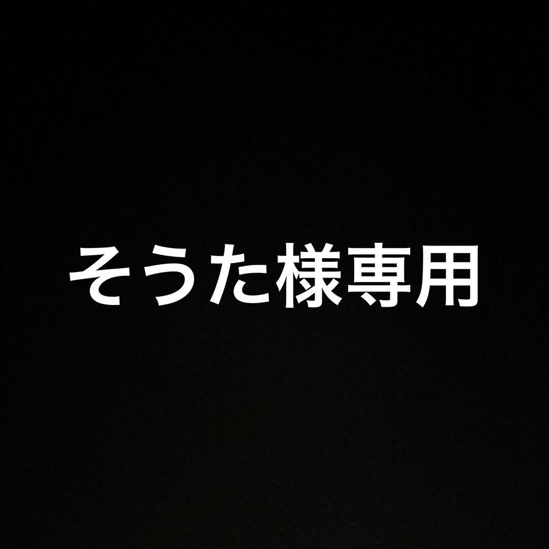 そうた　vivienne westwood シルバーネックレス