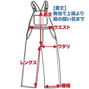 EVISU オーバーオール 道楽ペイント