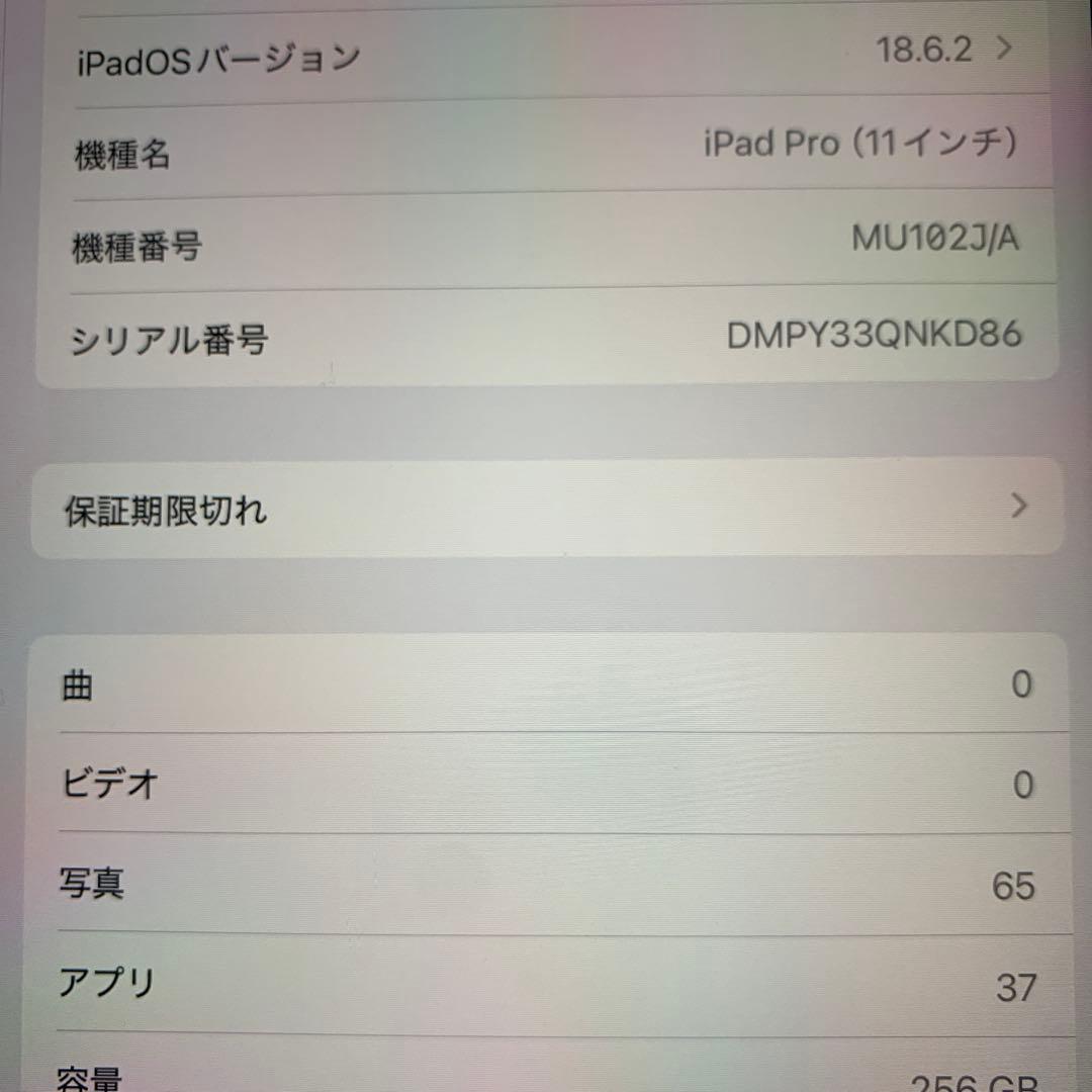 iPad pro11インチ第一世代　256GB スペースグレー