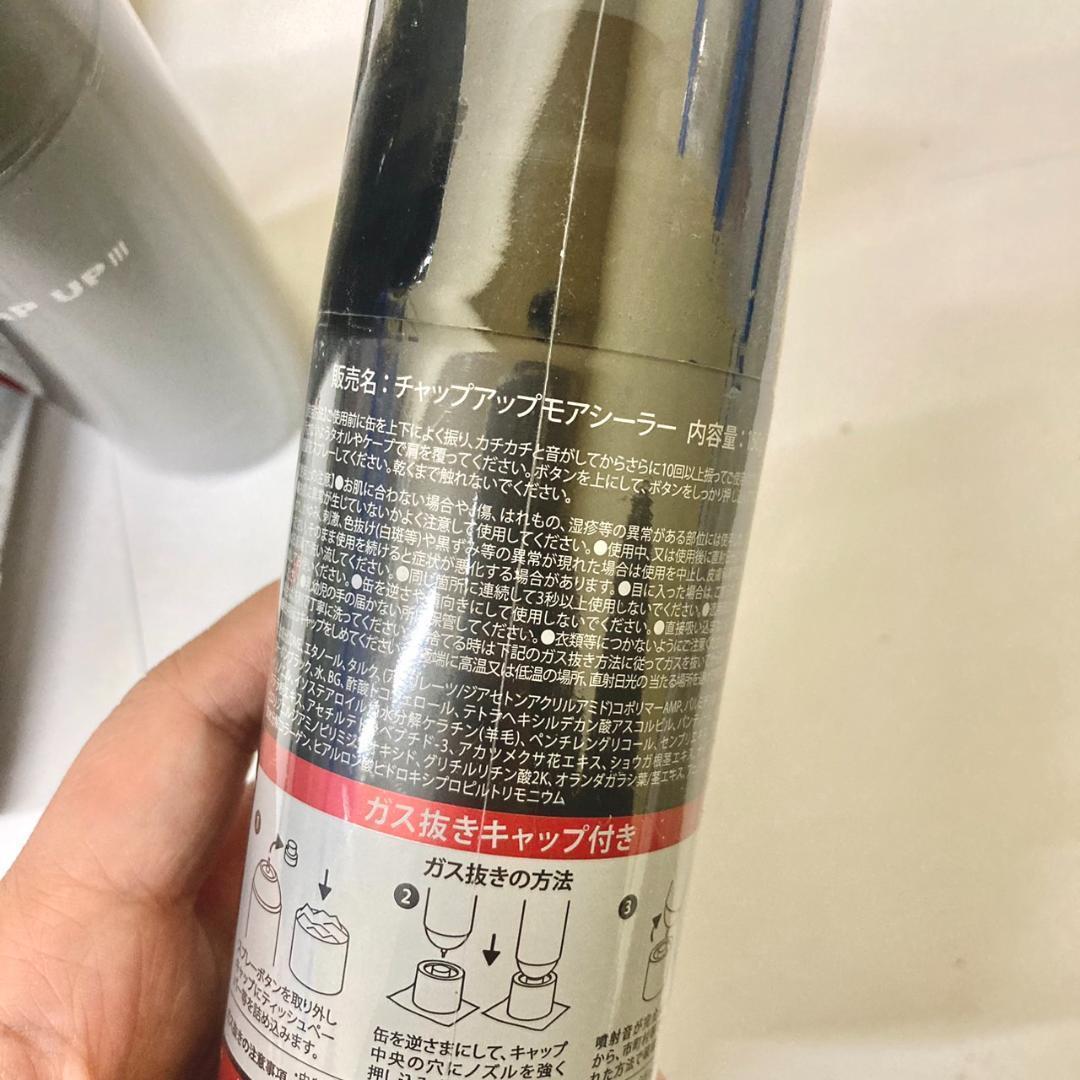 チャップアップ　モアシーラー　150g　6個セット