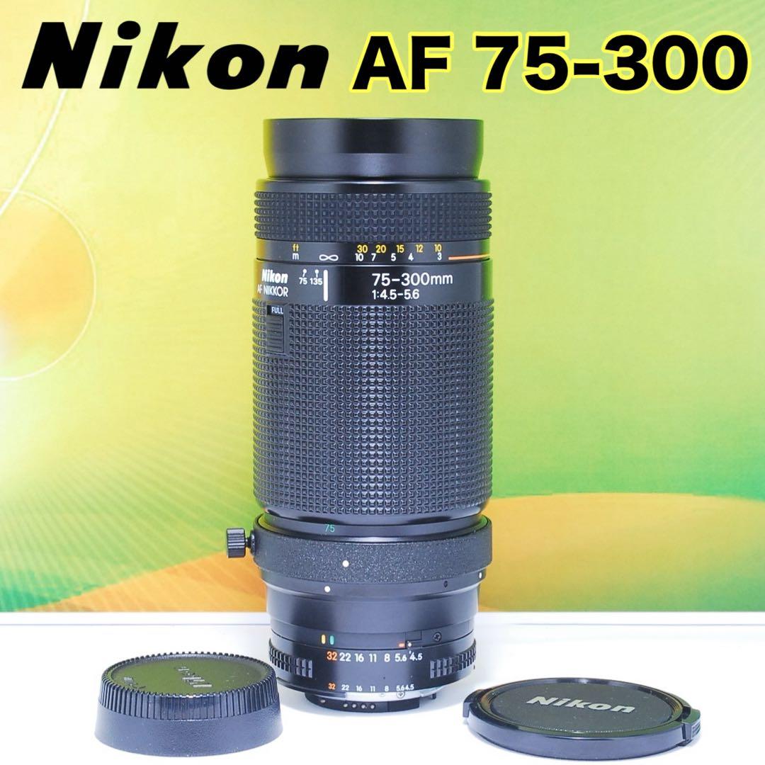 ✨美品✨Nikon AF 75-300mm 超望遠レンズ 運動会 野鳥撮影