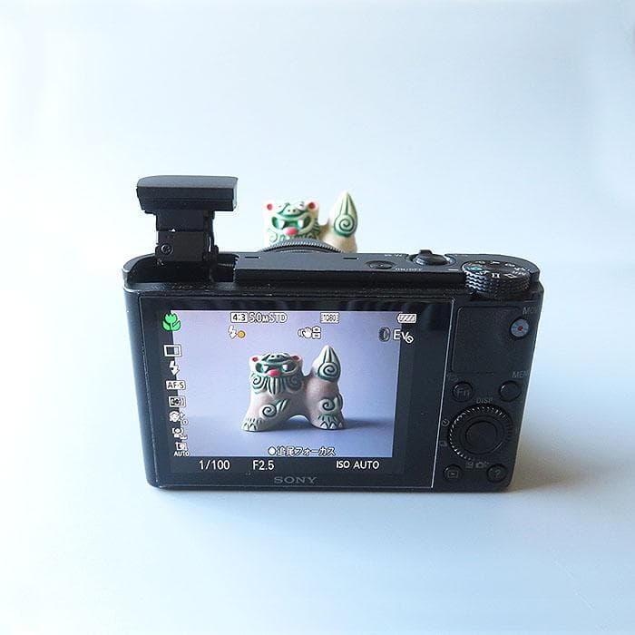 SONY Cyber-shot DSC-RX100 デジカメ 動作品 ソニー