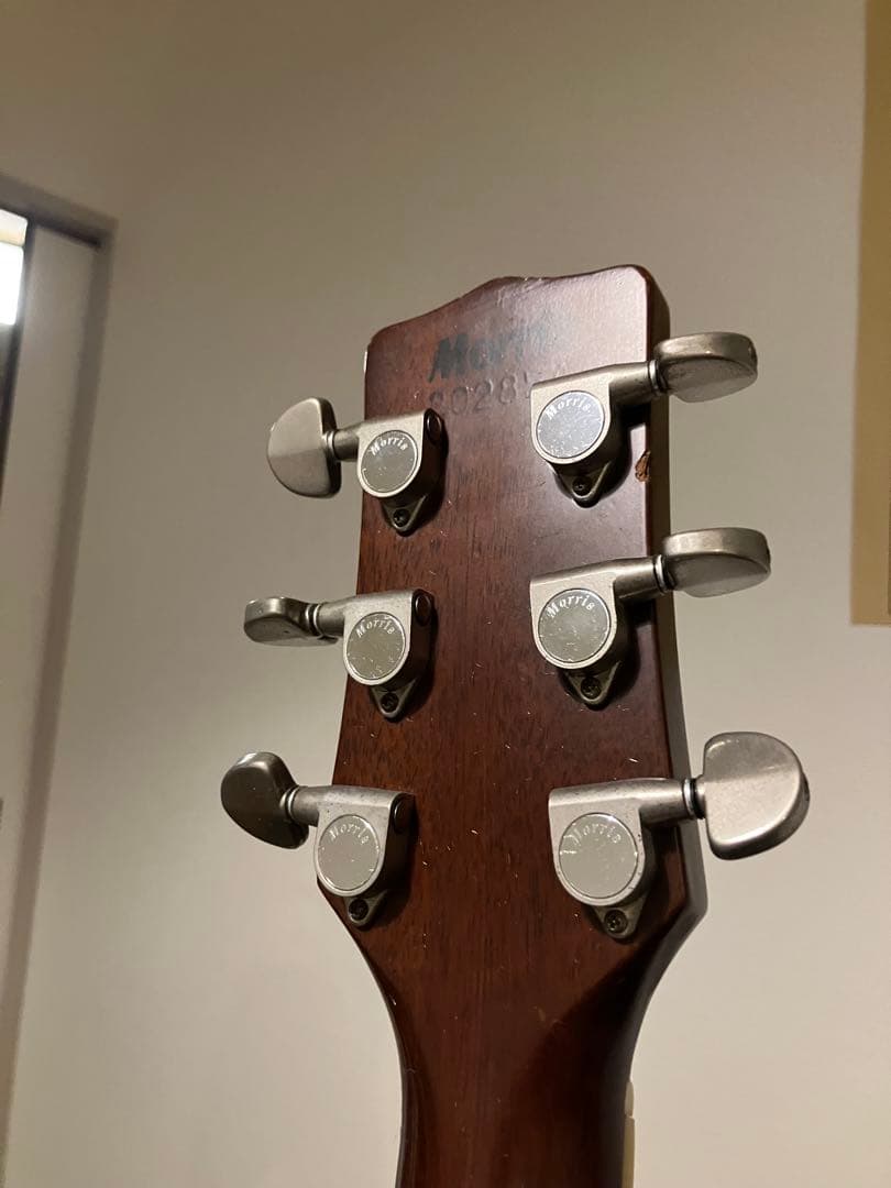 Morris Vanguard Series アコースティックギター　mv701