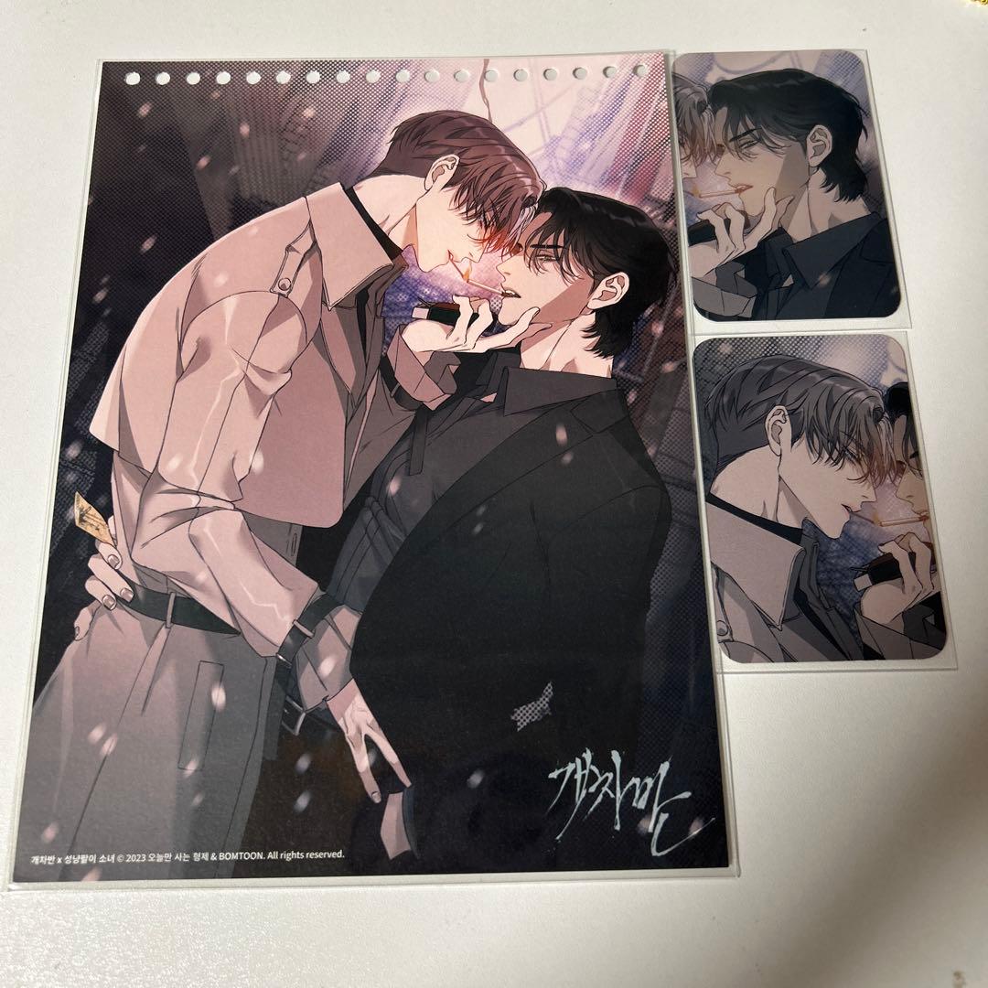 韓国BL BOMTOON 개차반 スカムバグ　2023 カレンダーセット