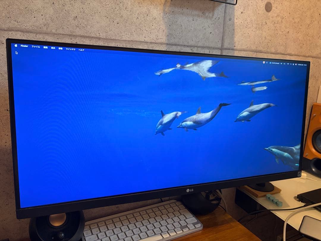 LG UltraWide Monitor 29WP500 モニターアーム追加