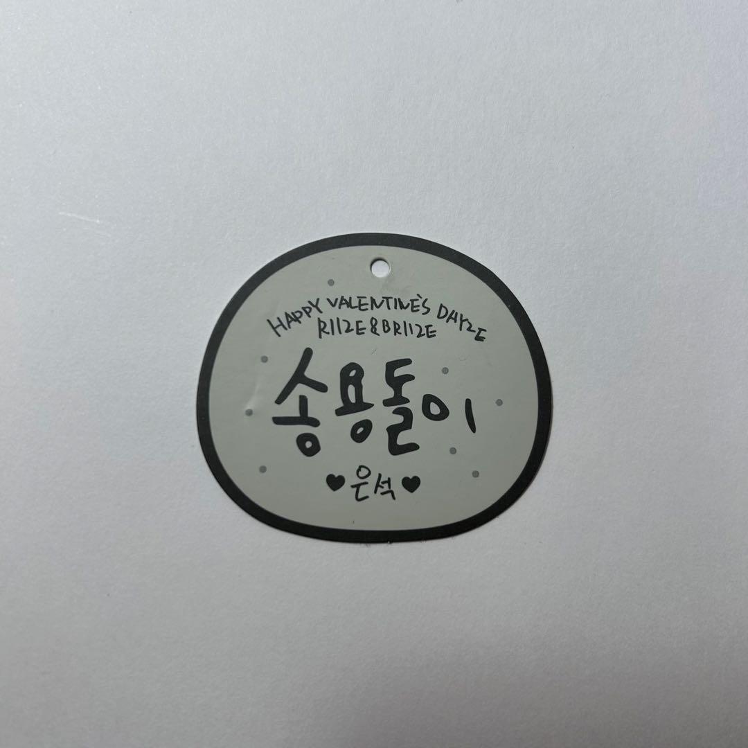 RIIZE ウンソク ソンヨンドリ 10cm ぬいぐるみ