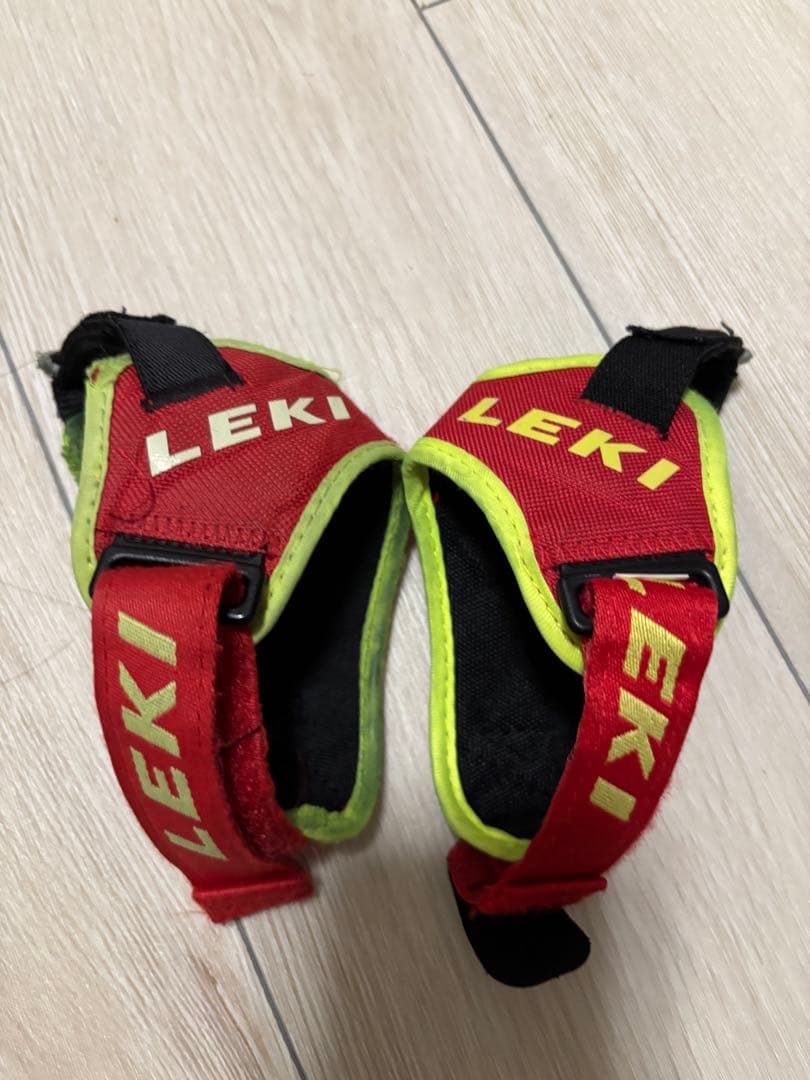 LEKI WCR TBS SL 120cm 22/23 パンチガード付