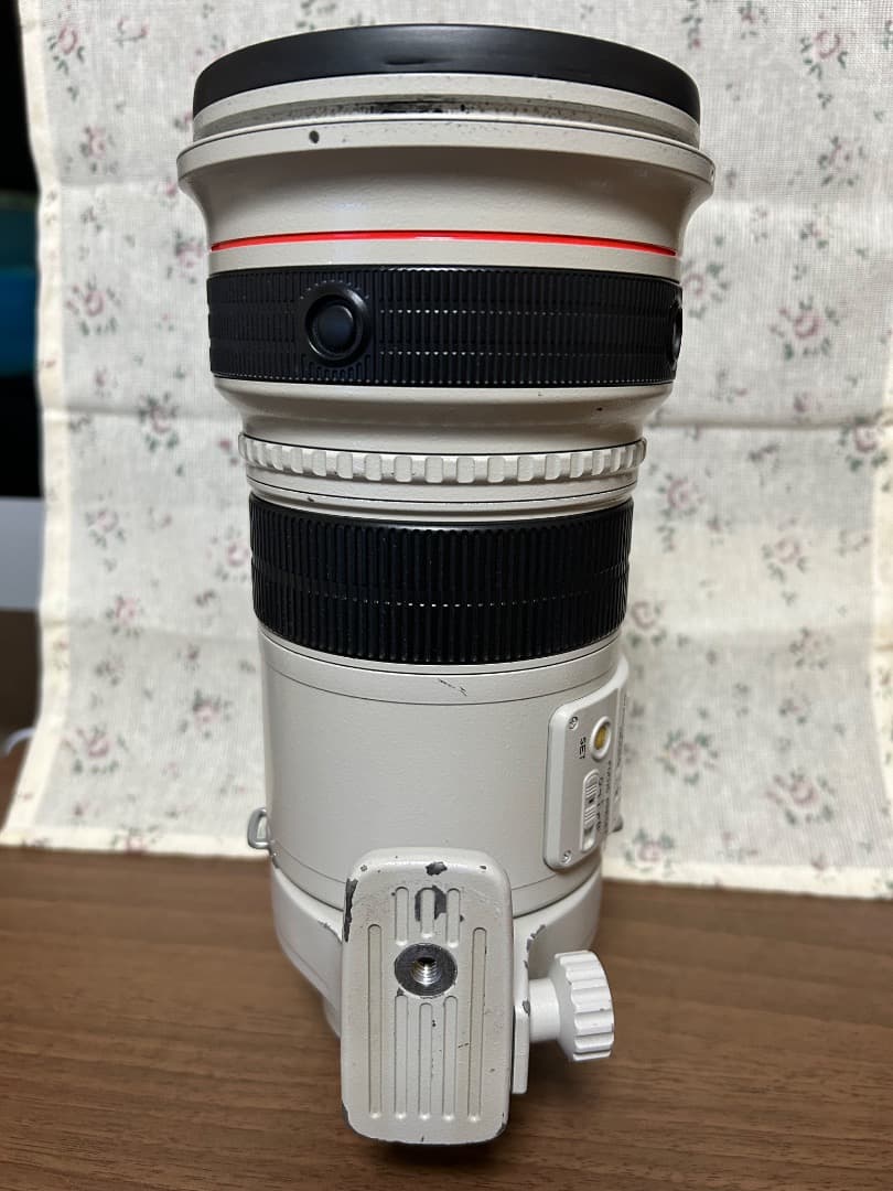 【なお-R】CANON EF300mm 1:2.8 L IS USM