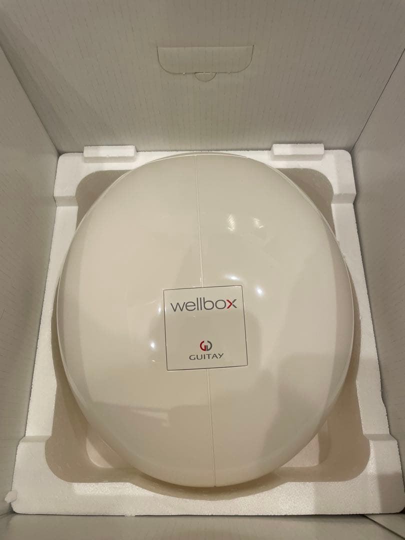 LPG wellbox GUITTAY 美容家電 ホワイト