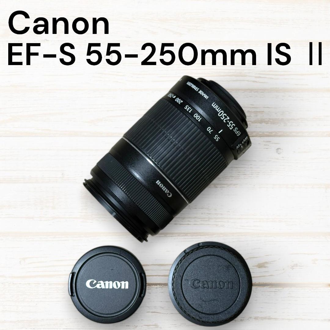 Canon ズームレンズ EF-S 55-250mm IS Ⅱ #98