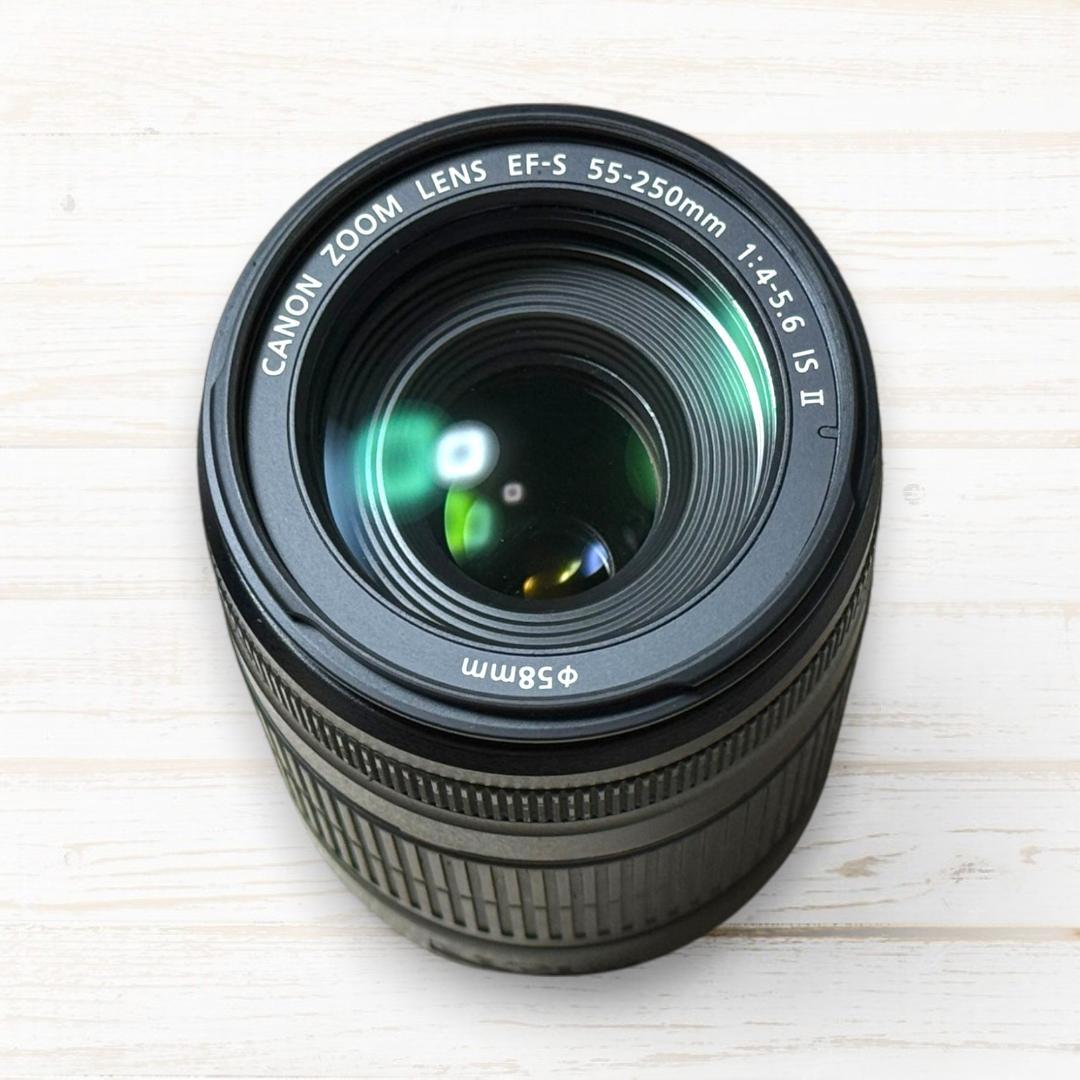 Canon ズームレンズ EF-S 55-250mm IS Ⅱ #98