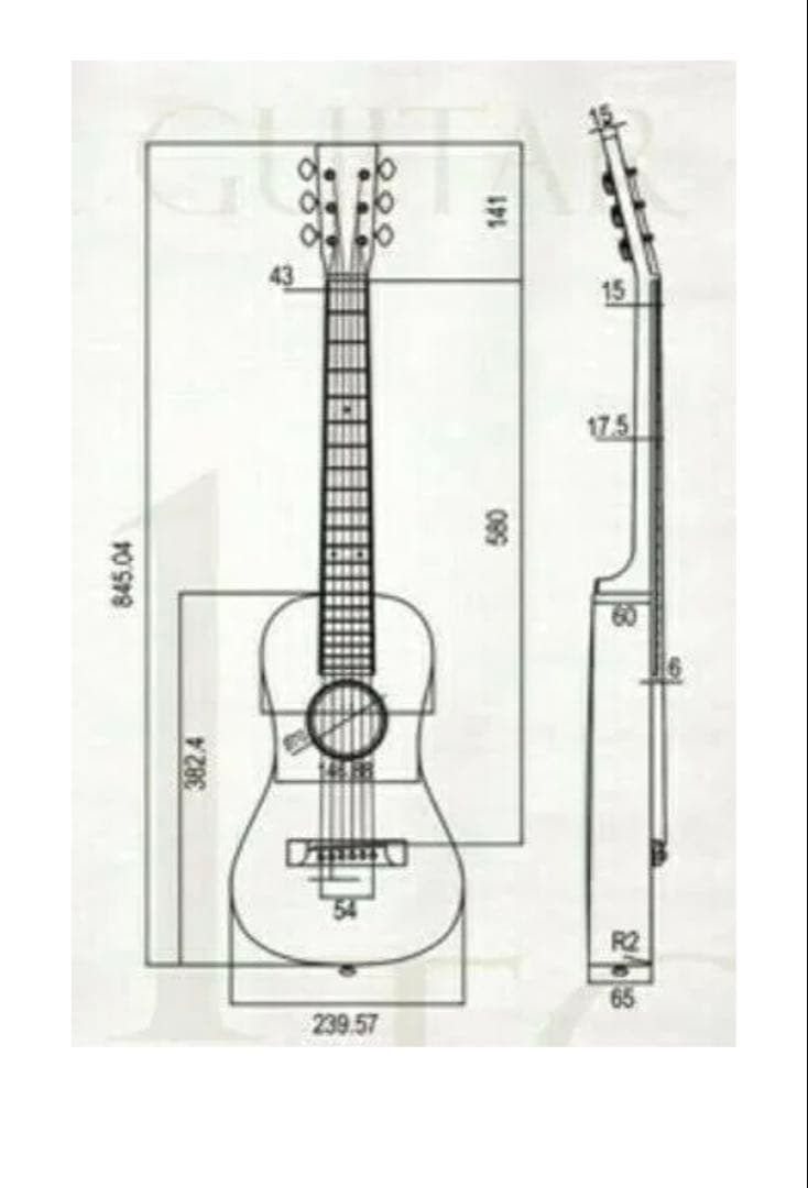 m*c様 SX トラベルギター TG-1 ギターケース付き