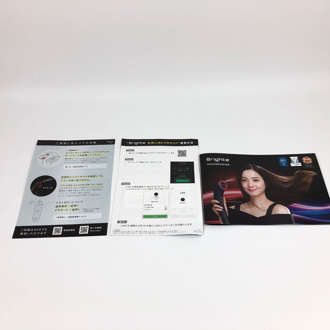 【新品】Brighte BRT-SD173 ブライト シャワードライヤー セット