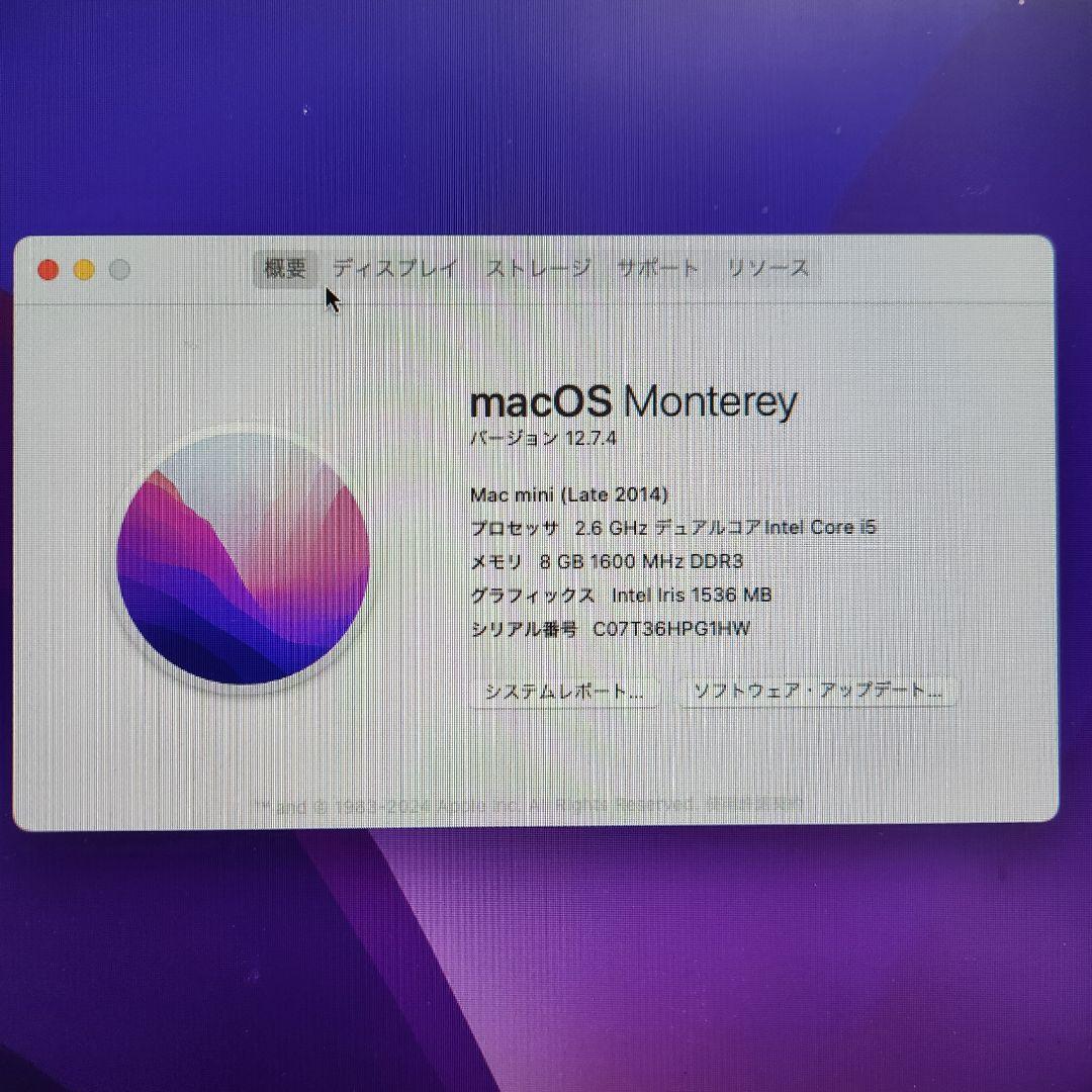 Macデスクトップ Apple Mac mini (Late 2014) 1TB