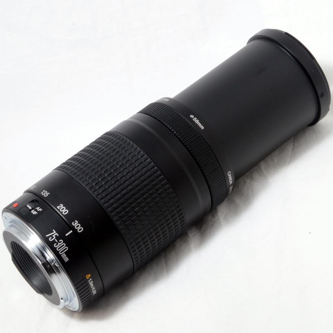 ★美品★Canon キャノン EF 75-300mm 4-5.6 Ⅱ 望遠ズーム
