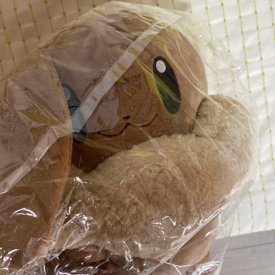 ボタンのイーブイリュック　ポケモン　ポケモンセンター