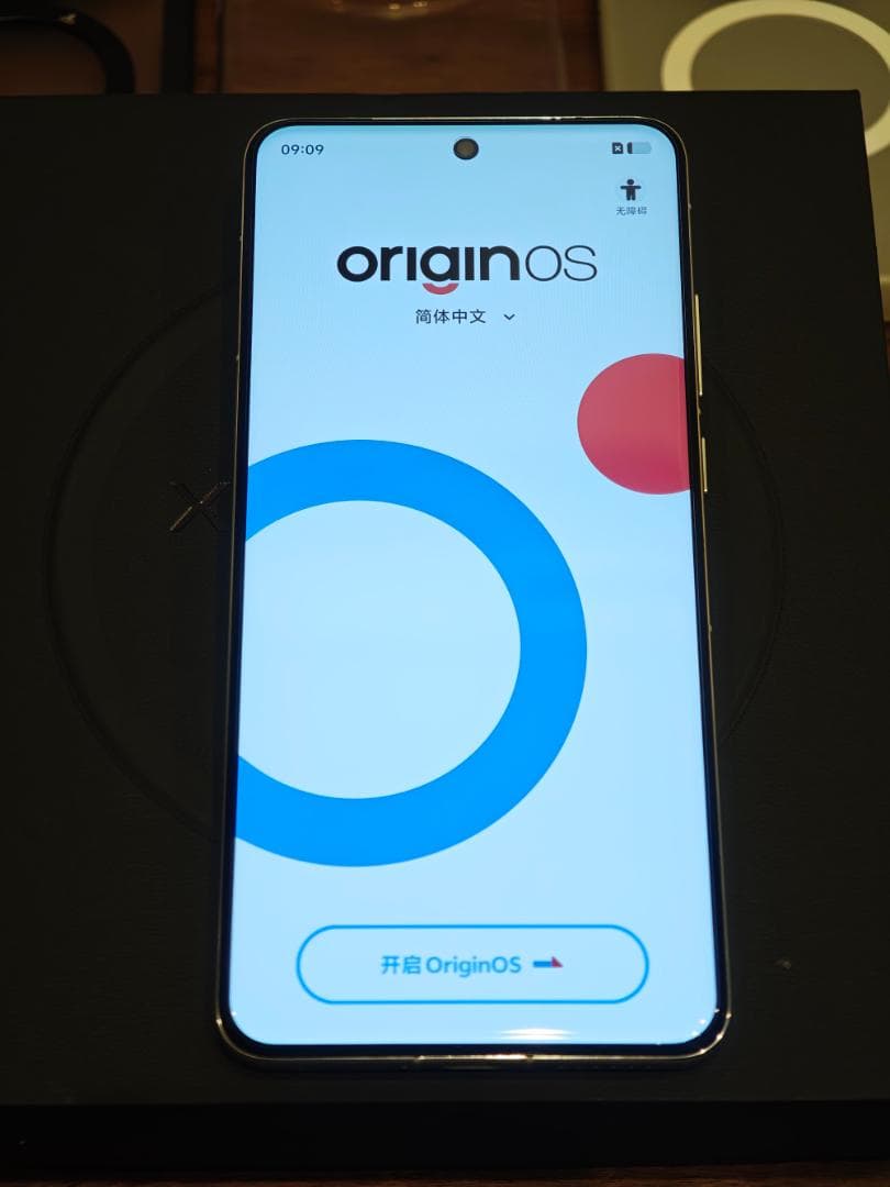 VIVO X200 Pro 12/256GB 　ほぼ新品　おまけ多数