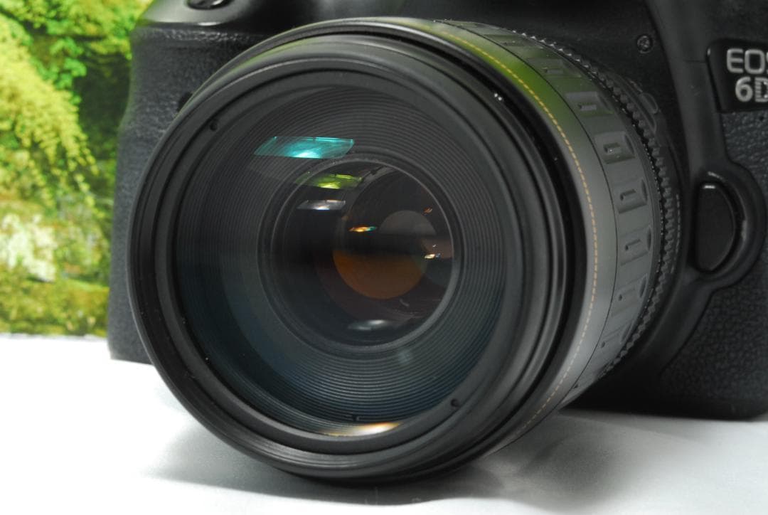 ✨月明りの暗闇でも撮影ができる✨Canon EOS 6D✨フルサイズ機✨動画OK