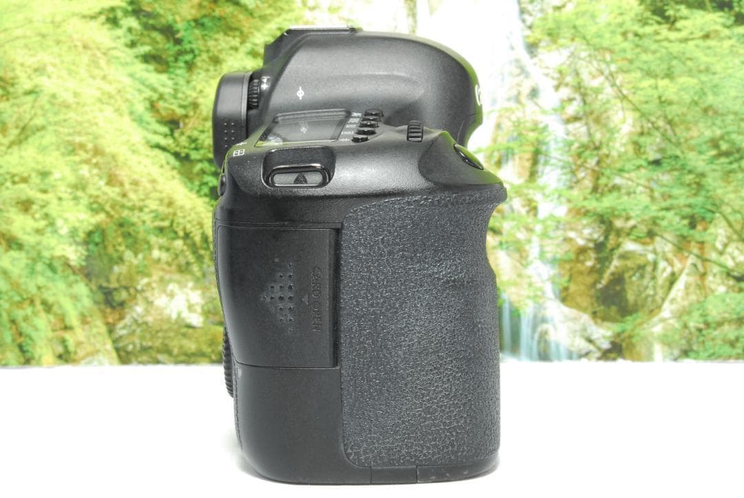 ✨月明りの暗闇でも撮影ができる✨Canon EOS 6D✨フルサイズ機✨動画OK