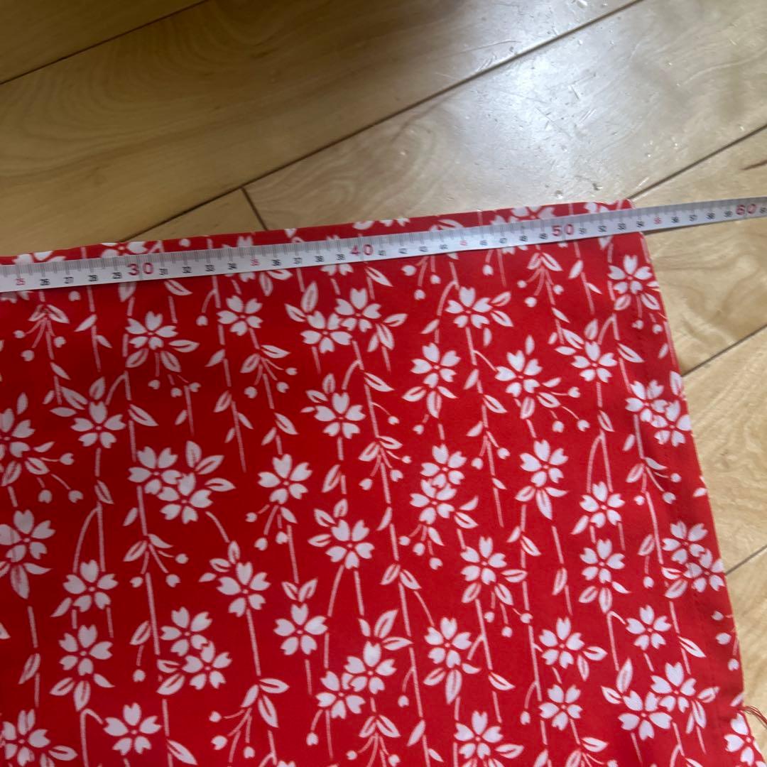 日本舞踊衣装　越後獅子