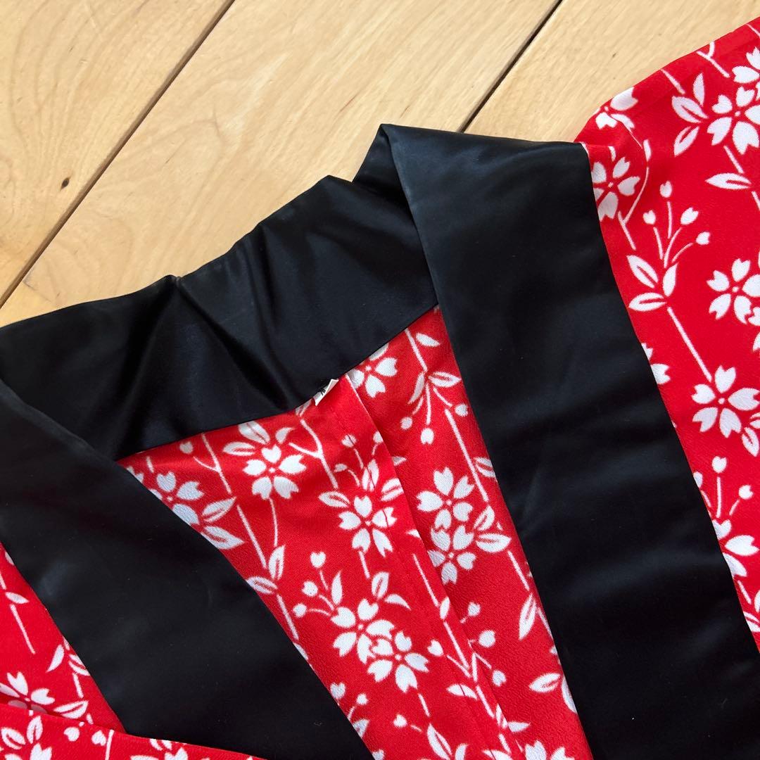 日本舞踊衣装　越後獅子