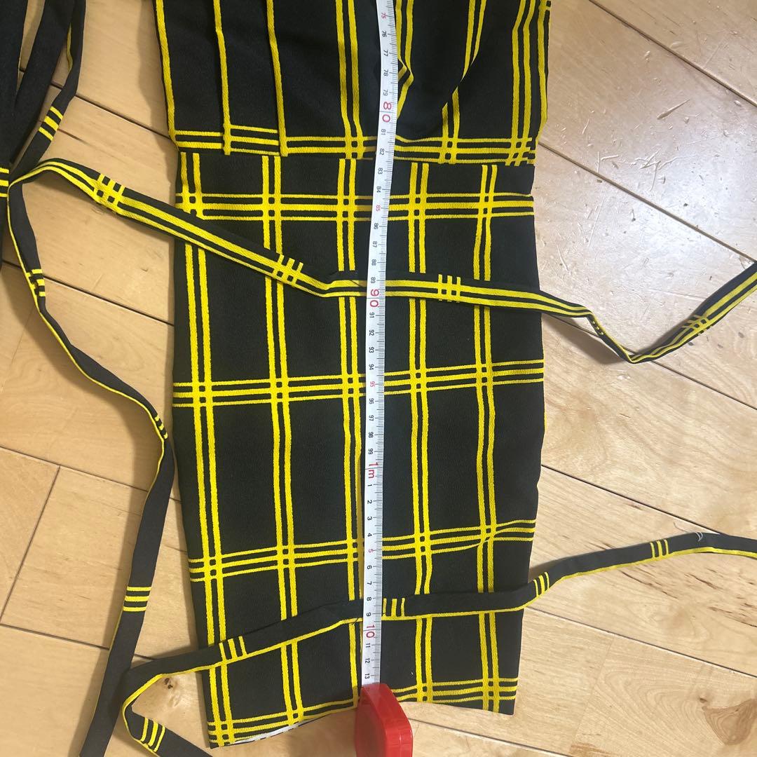 日本舞踊衣装　越後獅子