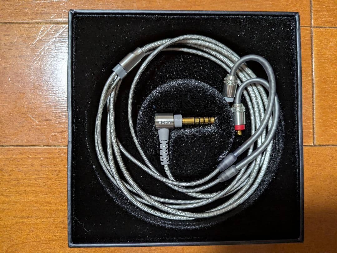 SONY IER-Z1R イヤホン ケース付き