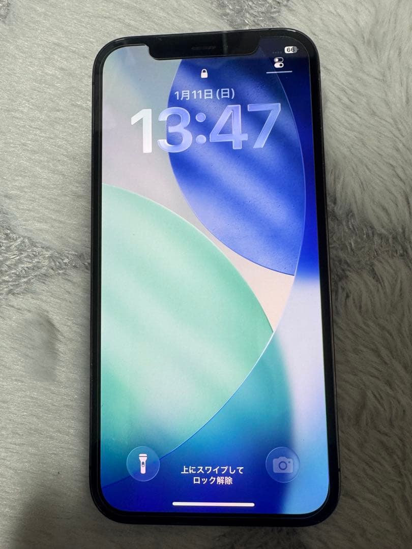 moshi Apple iPhone 12 Pro グラファイト 75%