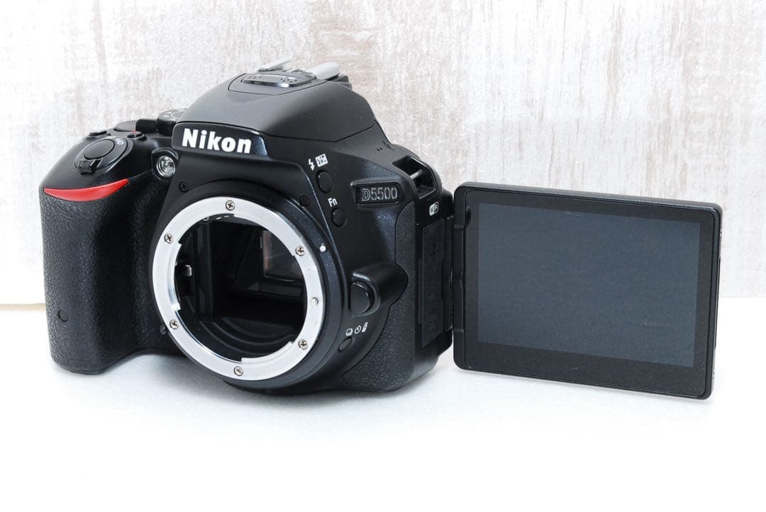 ❤️美品❤️高画質2416万画素❤️すぐ使えるセット❤️ NikonD5500