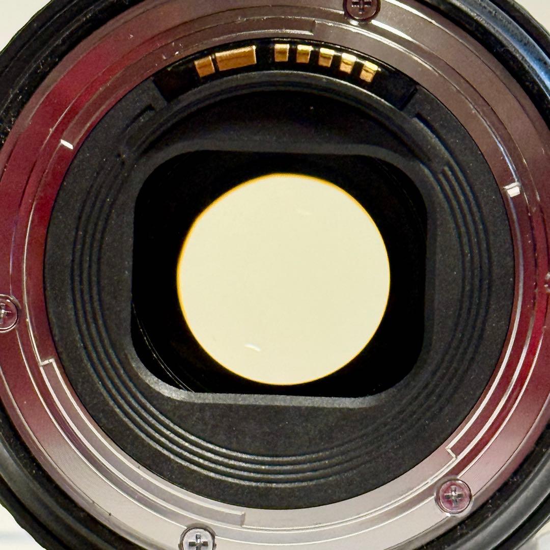 Canon EF 24-105mm f/4L IS II USM 本体