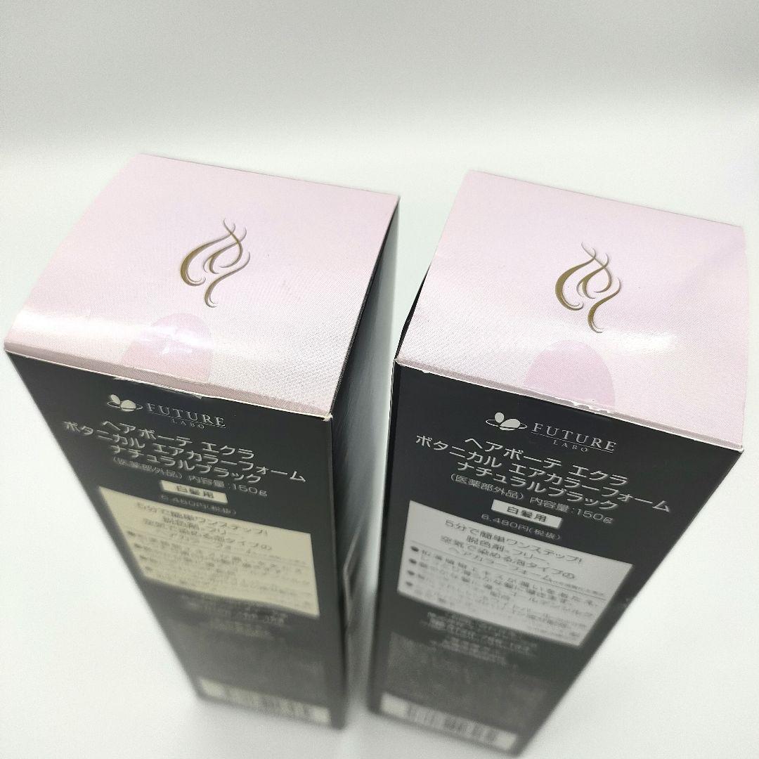 【新品】ヘアボーテ エクラ ボタニカル エアカラーフォーム 150g×2本 黒