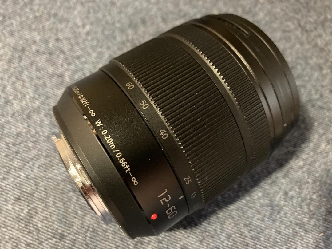 パナソニック LUMIX G VARIO 12-60mm F3.5〜★M4/3