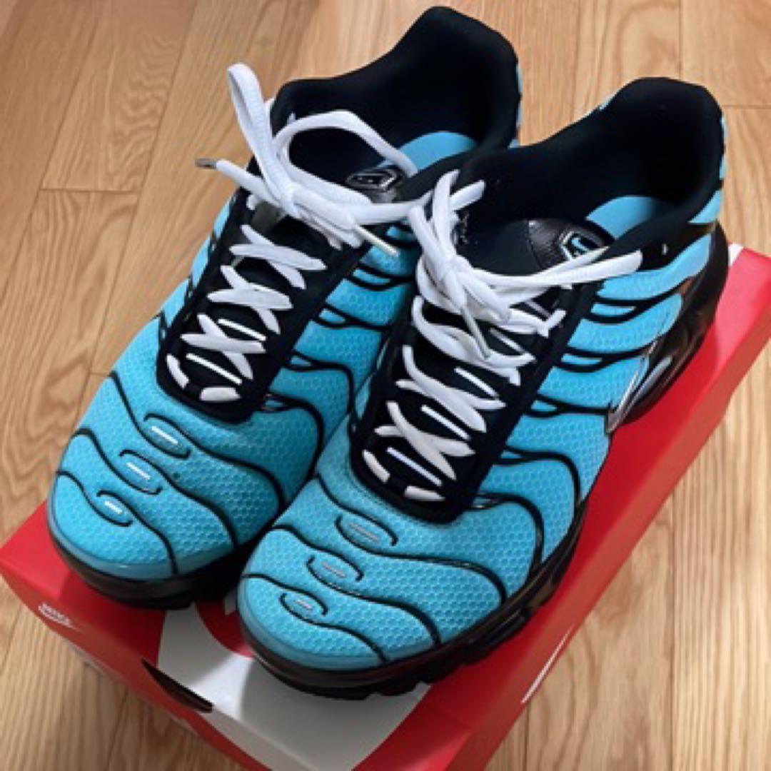 ぺっぺ Nike Air Max Plus 青/黒