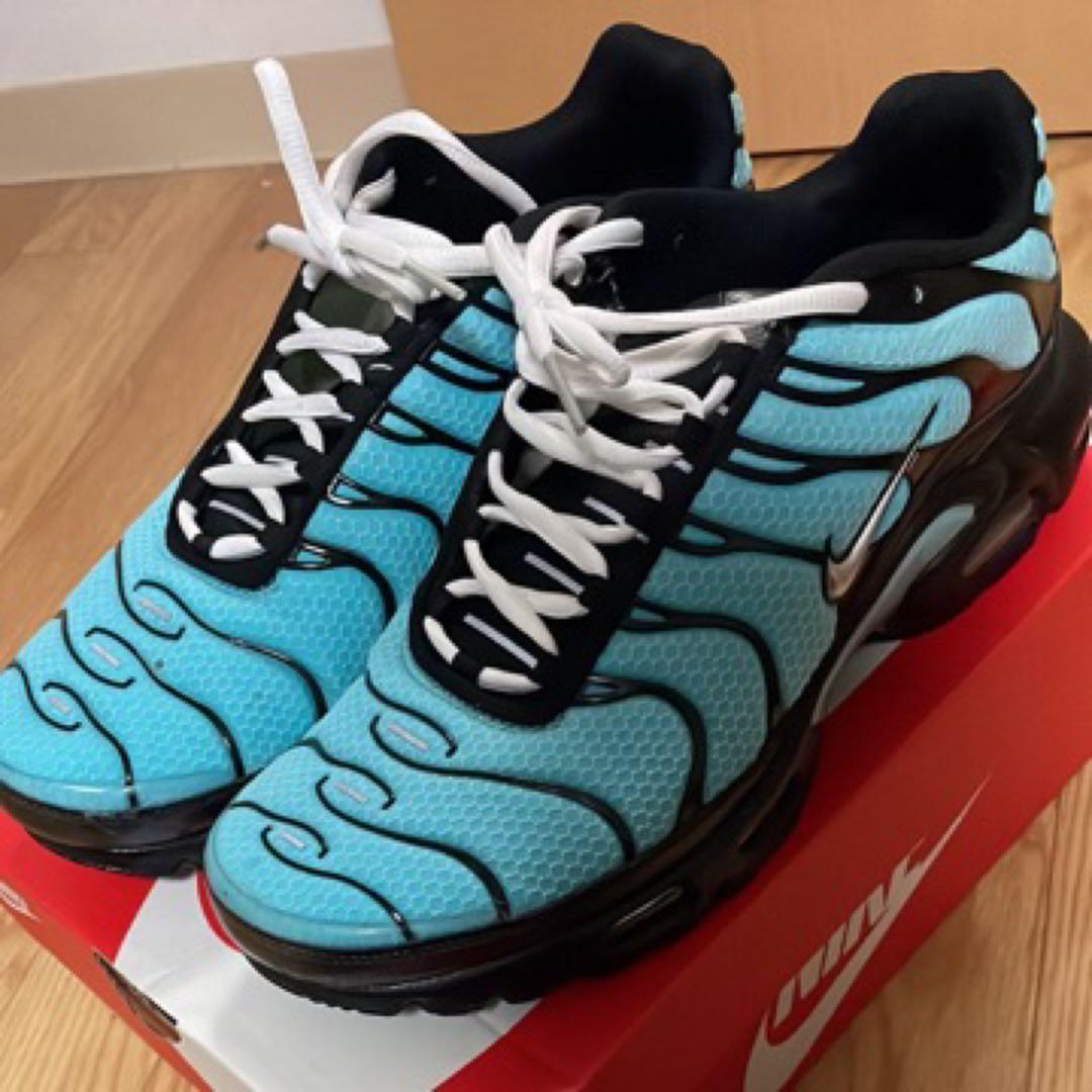 ぺっぺ Nike Air Max Plus 青/黒