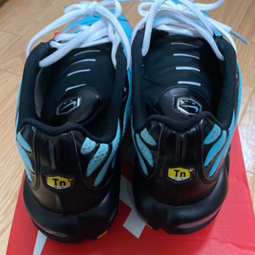 ぺっぺ Nike Air Max Plus 青/黒