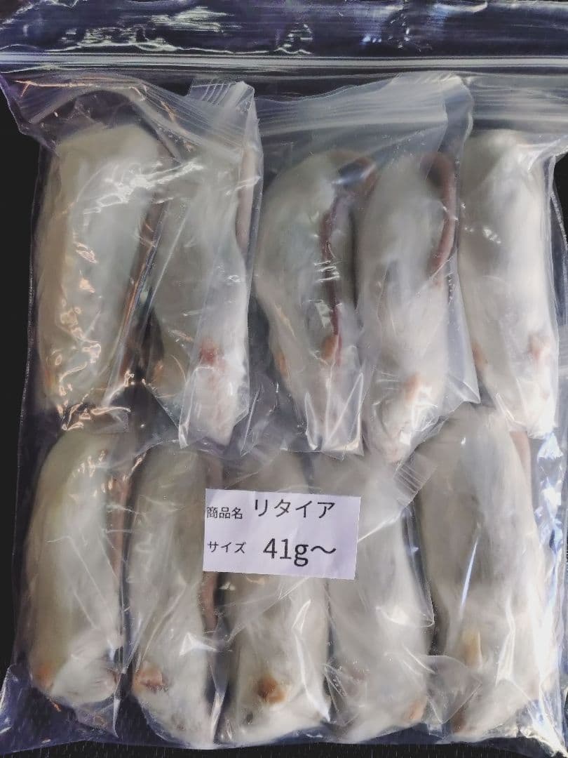 送料無料　冷凍マウスリタイア30匹