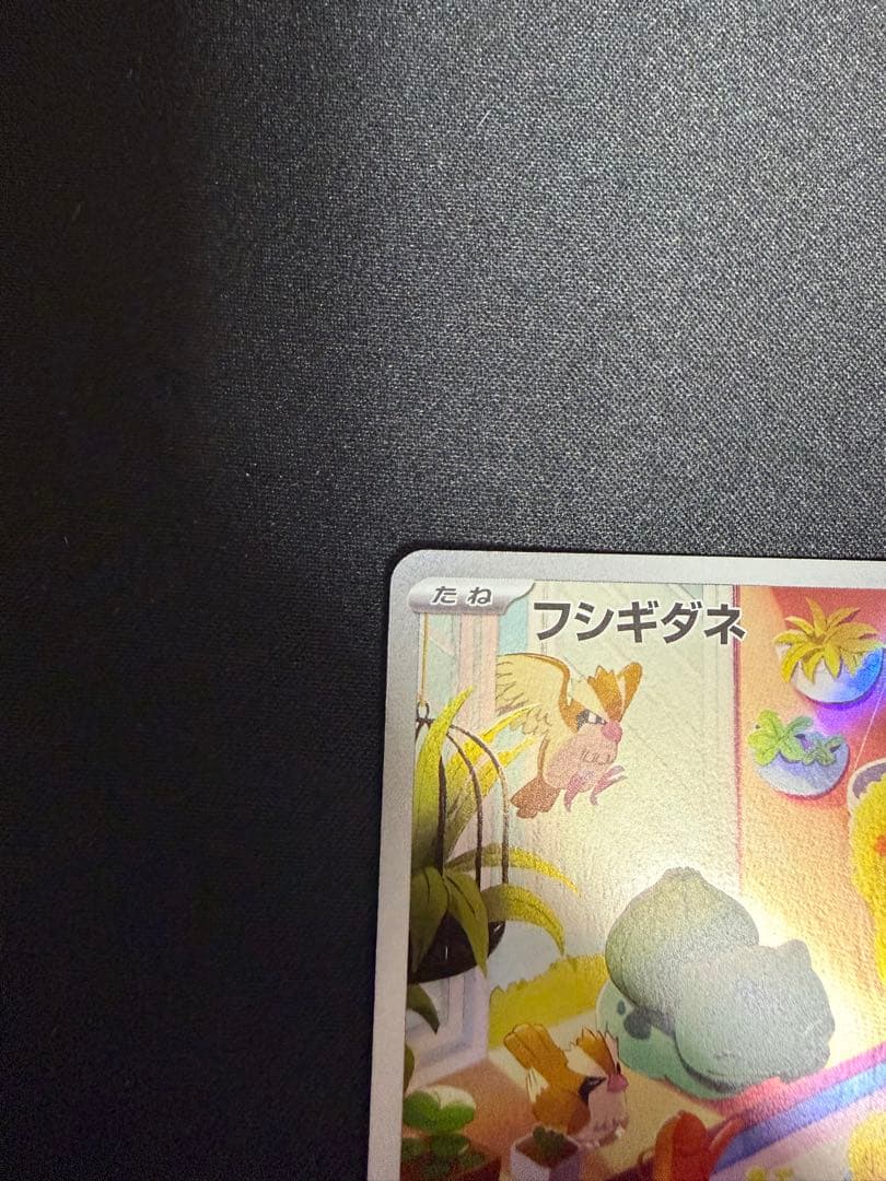 フシギダネ ヒトカゲ ゼニガメ スペシャルデッキセット プロモ 3枚セット