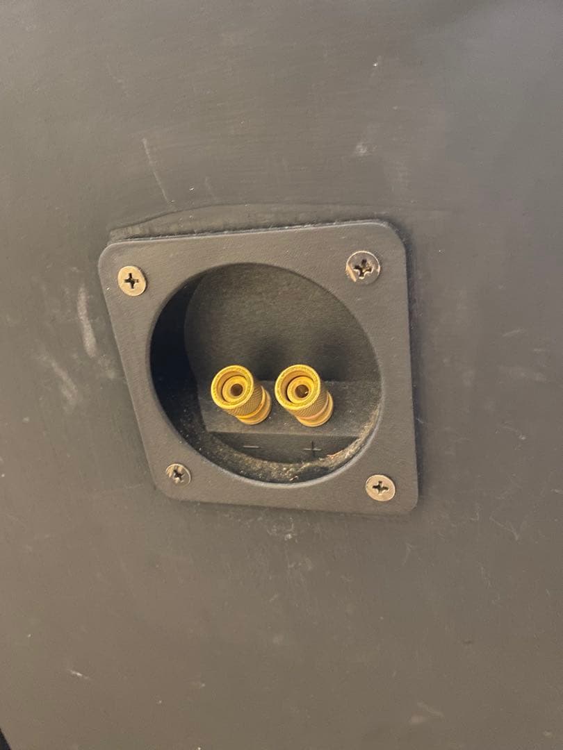 Audio Nirvana super 8 フルレンジスピーカー 2個目