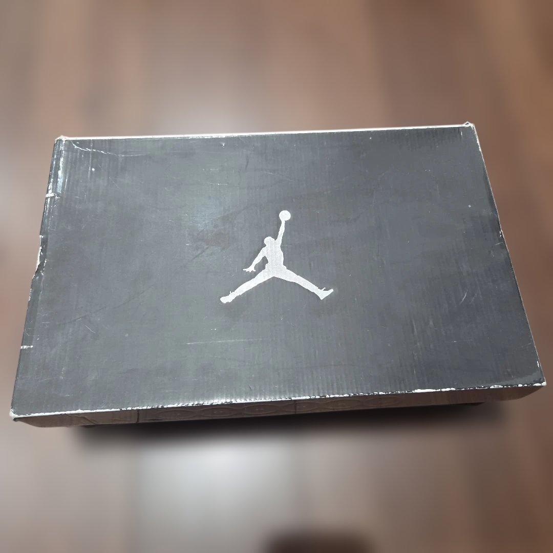 ナイキ　エアージョーダン　レトロ10 ステルス27cm