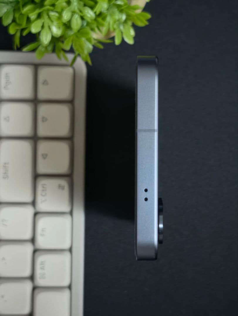 Samsung Galaxy S25 本体