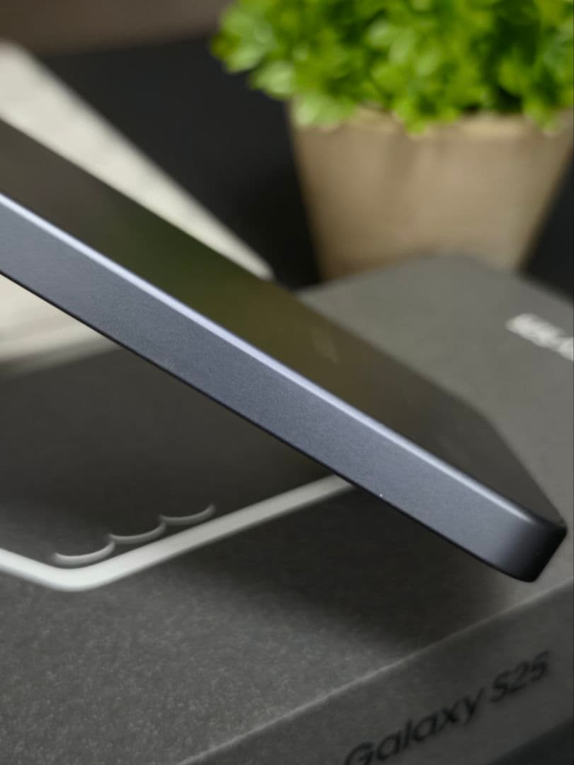 Samsung Galaxy S25 本体