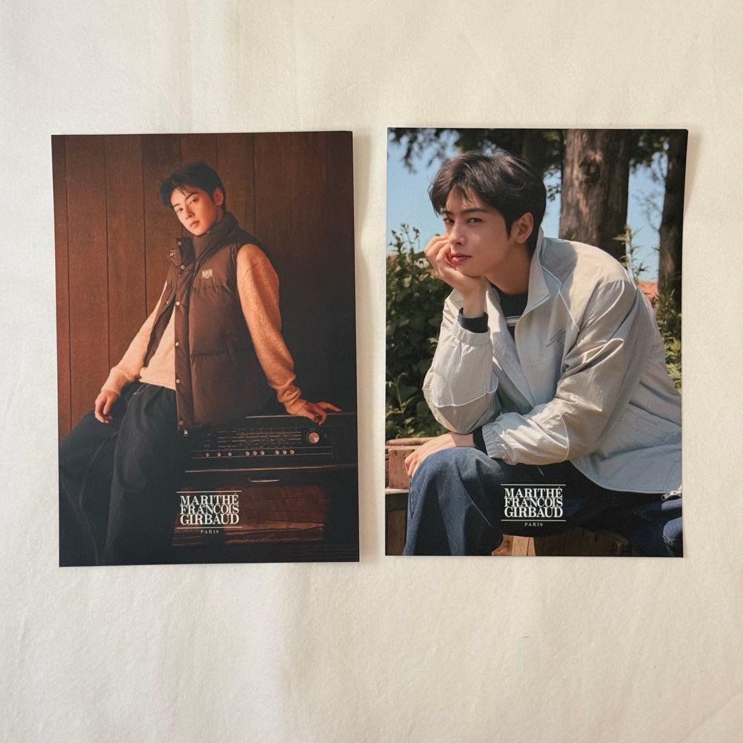 マリテMARITHE FRANCOIS GIRBAUDチャウヌポスター2枚セット