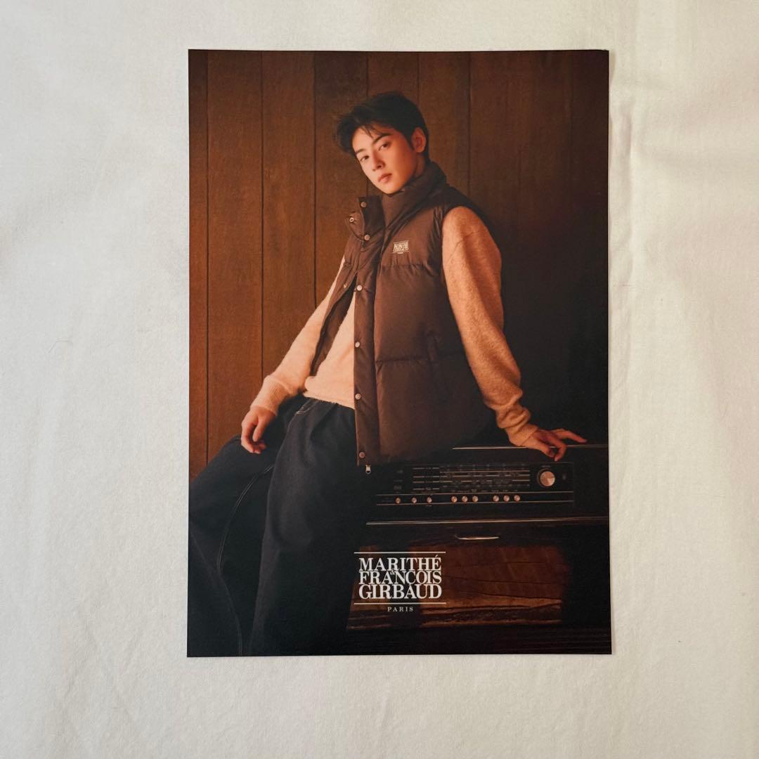 マリテMARITHE FRANCOIS GIRBAUDチャウヌポスター2枚セット